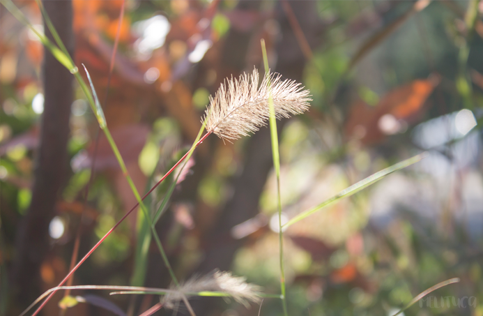 Excursioneando Alquézar