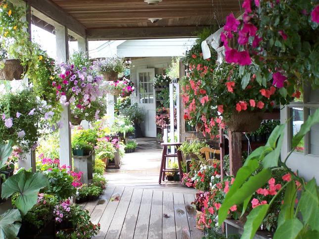 Ewa in the Garden: 12 most beautiful wooden porch ideas