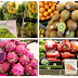 Last Few Days To Score Fresh Deals at Robinsons Supermarket’s Freshtival