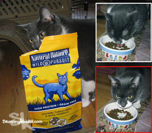 Natural Balance Makes Food For Cats With Sensitive Tummies Petsmartstory Stunning Keisha