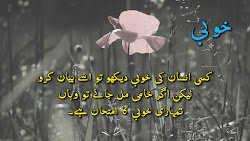 urdu quotes famous words flower shayari whatsapp depression