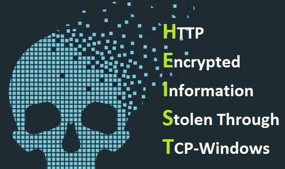 HTTPS Website Attack