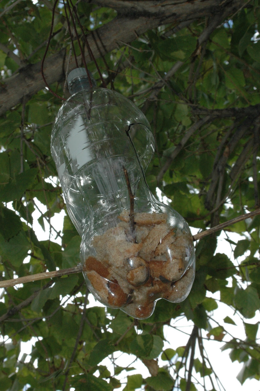 What Mommy Wants Recylced 2liter Bottle Bird Feeder