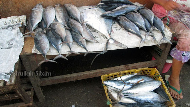 Ikan-ikan segar diperjualbelikan