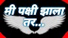 मी पक्षी झालो तर मराठी निबंध | Me Pakshi zalo tar Nibandh in Marathi.