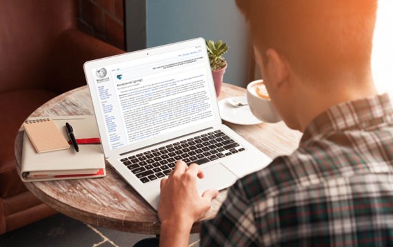 Essay writing in english picture