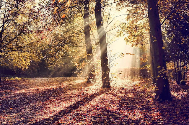 Heaton Park, Newcastle, Mandy Charlton