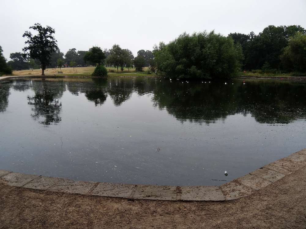 Vinnyman's Birding and Nature Blog. Pype Hayes Park.