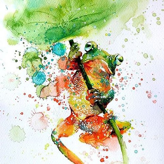 As coloridas aquarelas com pinturas de animais de Tilen Ti Tilen Ti pinturas aquarela colorida animais