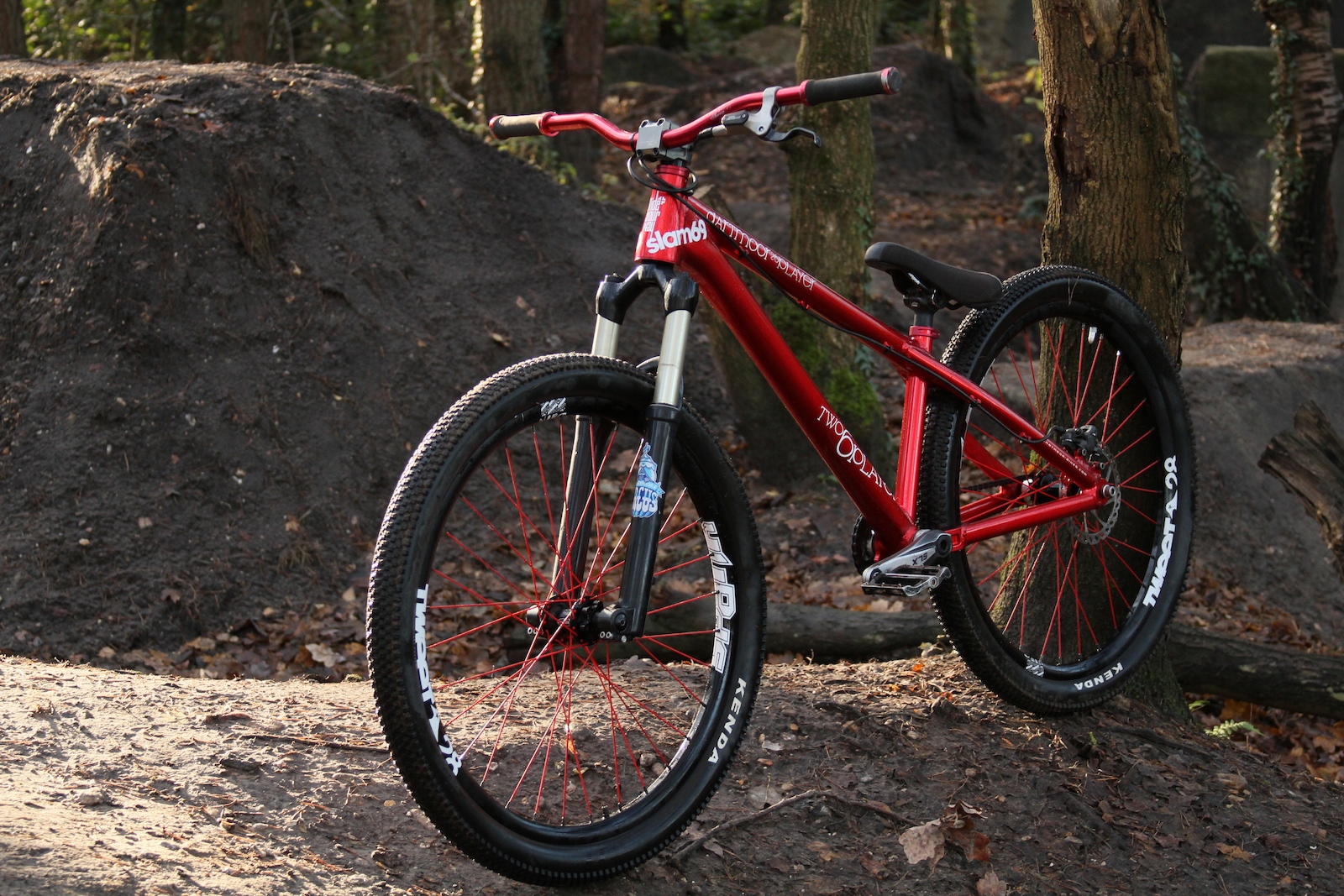 Dartmoor Hornet 4x