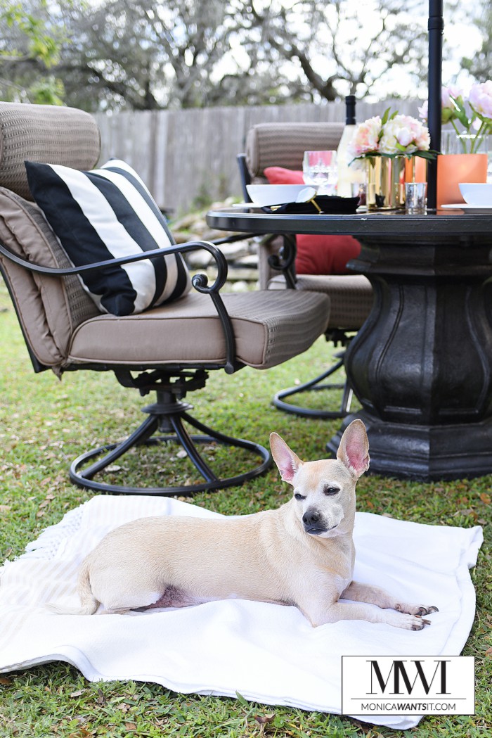 This blogger spent $100 and created a gorgeous outdoor oasis perfect for dining and entertaining. Her post has great ideas, pics and tips for updating an outdoor space with smart shopping and decor. This blogger spent $100 and created a gorgeous outdoor oasis perfect for dining and entertaining. Her post has great ideas, pics and tips for updating an outdoor space with smart shopping and decor.
