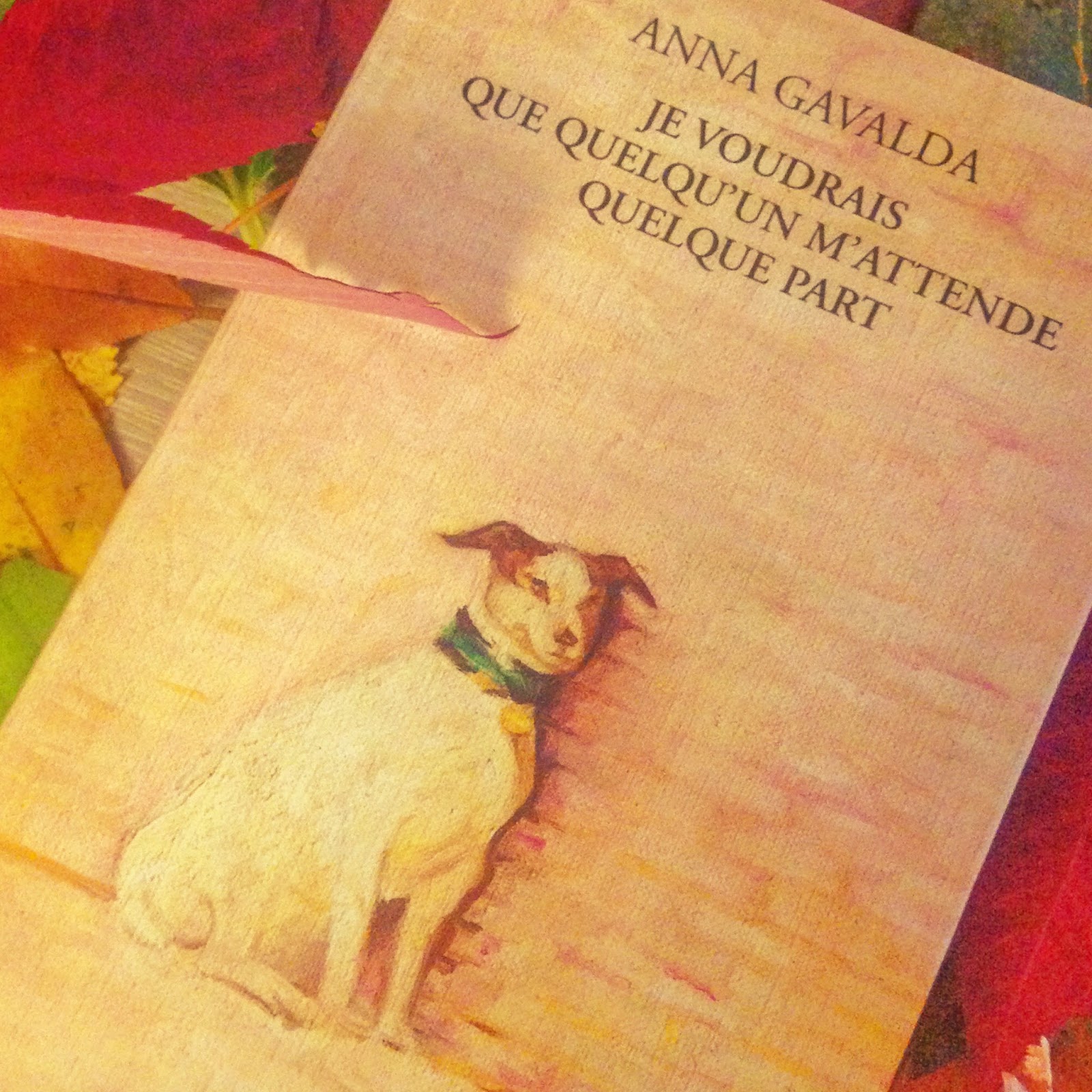 Je Voudrais Que Quelqu'un M'attende Quelque Part Roman Je voudrais que quelqu'un m'attende quelque part de Anna Gavalda