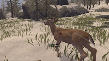 Deer Hunter: Reloaded-CODEX pc español