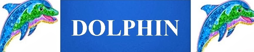 Dolphin-Delfin