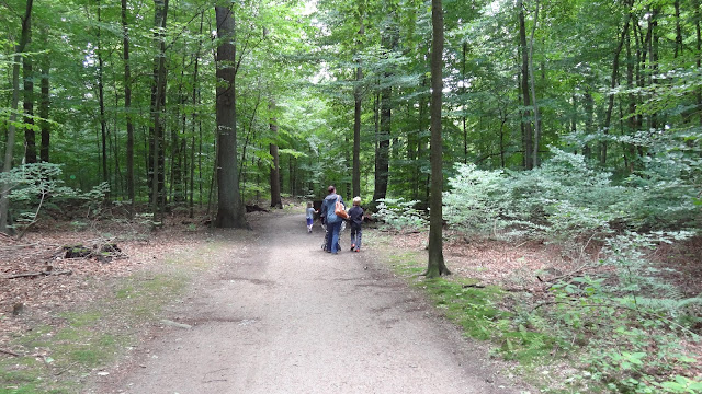 Jake of Winter Hill Adventures: Volksdorf Hamburg, Germany