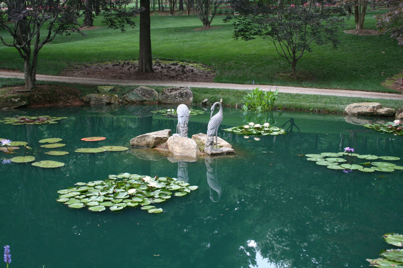 A Chef in the Garden Sally & Jim Gibbs' Garden