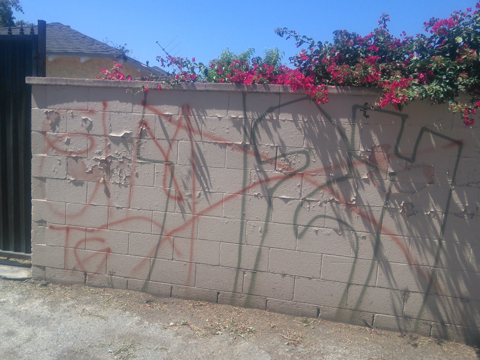 blood gangs graffiti Elm street piru ( ESP , compton )