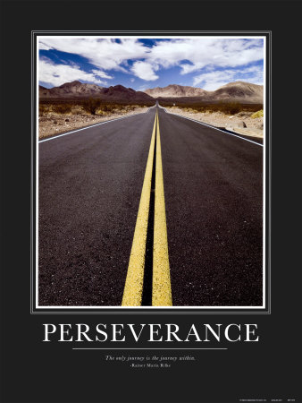 The Deena Show : Perseverance, Perseverance, Perseverance.