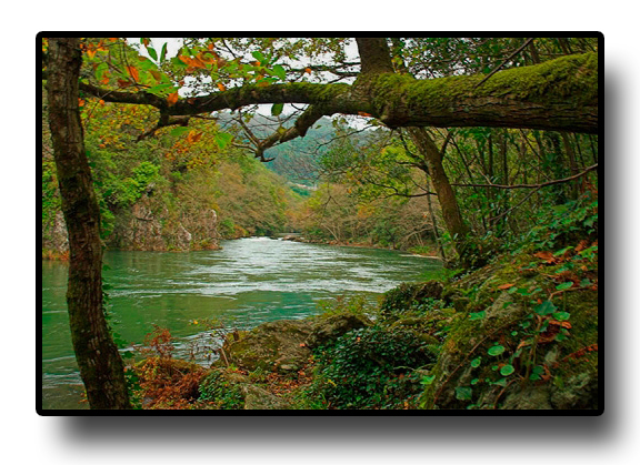 Parque Natural Fragas do Eume