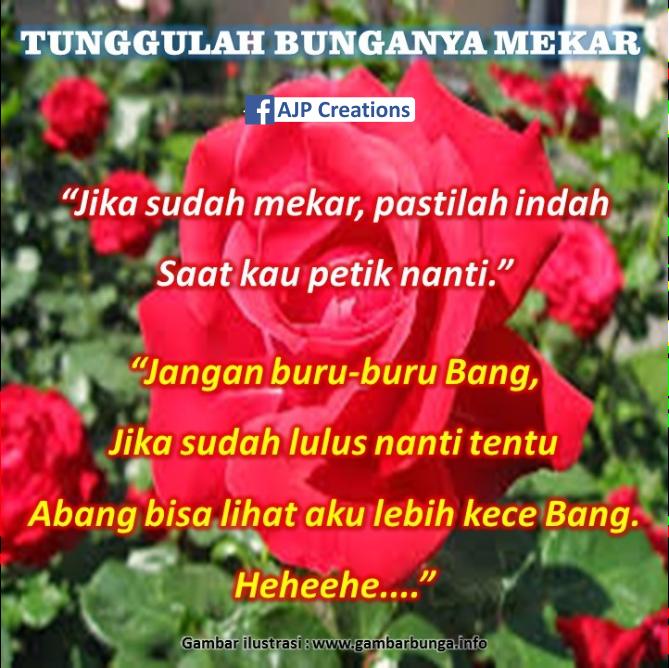 Kata Kata Filosofi Bunga Mekar Menanti Seseorang Jadi Indah Ajp Creations