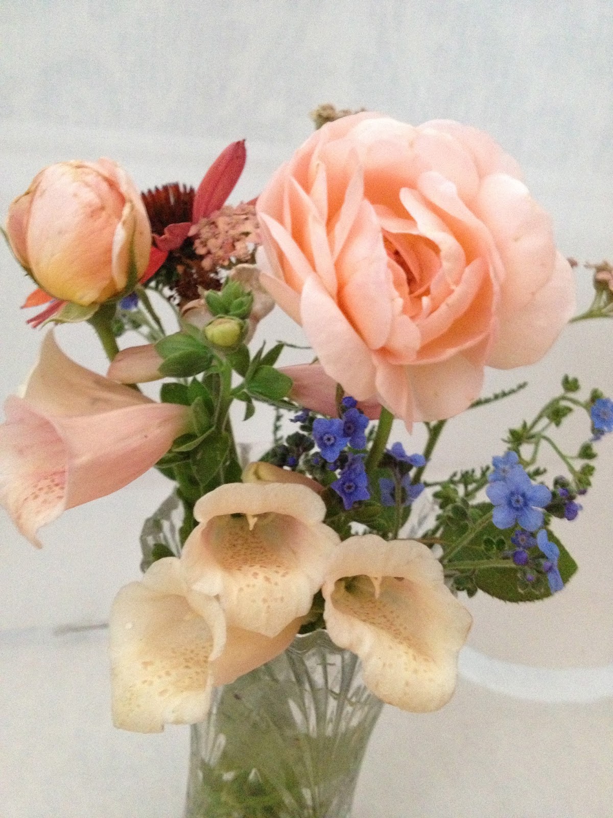 Flower Friday August 7, 2015