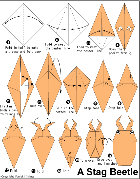 Origami Stag Beetle Easy Origami instructions For Kids Origami Stag Beetle Easy Origami instructions For Kids