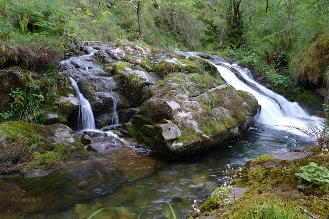 Río Infierno Río Infierno
