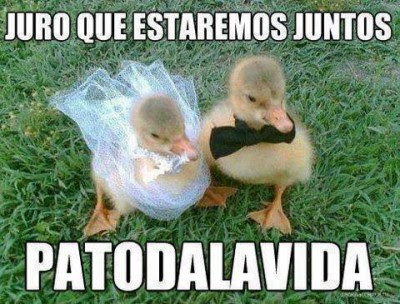 Chistosas de de amor: Chistosas de de amor: