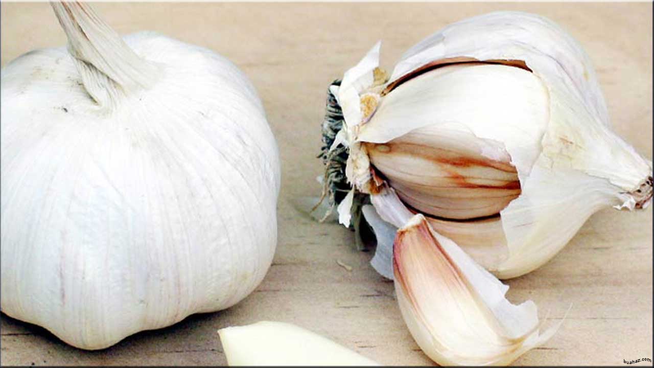 Nama Buah Berawalan Huruf B Www Buahaz Com