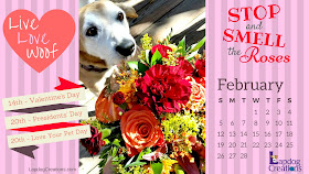 free february desktop calendar rescue dog