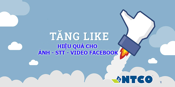 tang like post facebook
