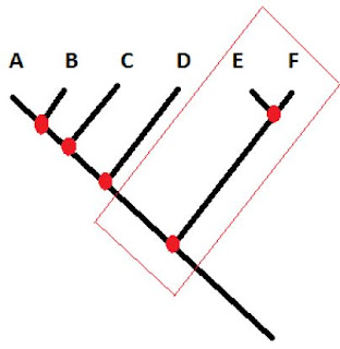 SOAL DAN KUNCI JAWABAN SELEKSI OLIMPIADE SAINS TINGKAT KABUPATEN/KOTA