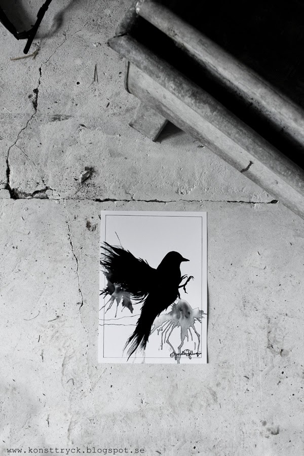 svart fågel, svartvit, svartvita, tavlor, tavla, artprint, artprints, konsttryck, poster, illustration, 