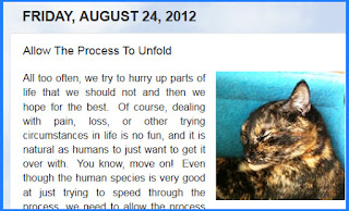 http://mindbodythoughts.blogspot.com/2012/08/allow-process-to-unfold.html