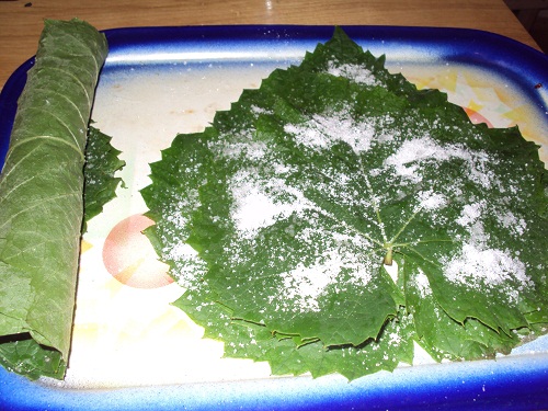 Frunze de vita de vie conservate in saramura, la borcan