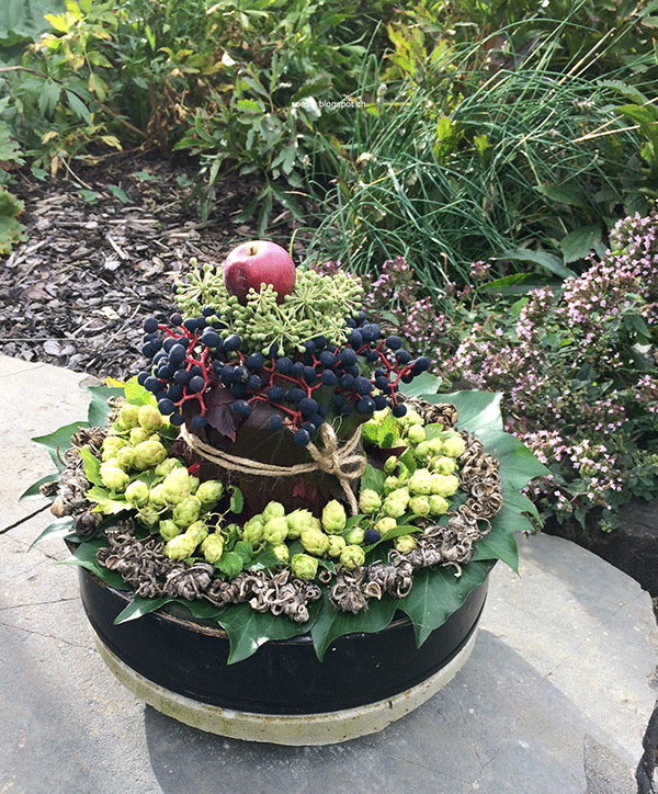 Diy Torte Aus Dem Garten Ich Zeig Dir Wies Geht