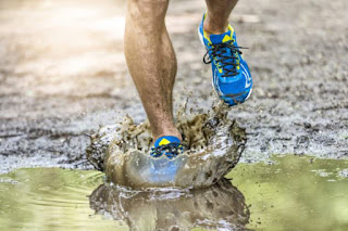 http://cdn.runningshoesguru.com/wp-content/uploads/2016/10/soft-ground-trail-running-shoes-633x422.jpg
