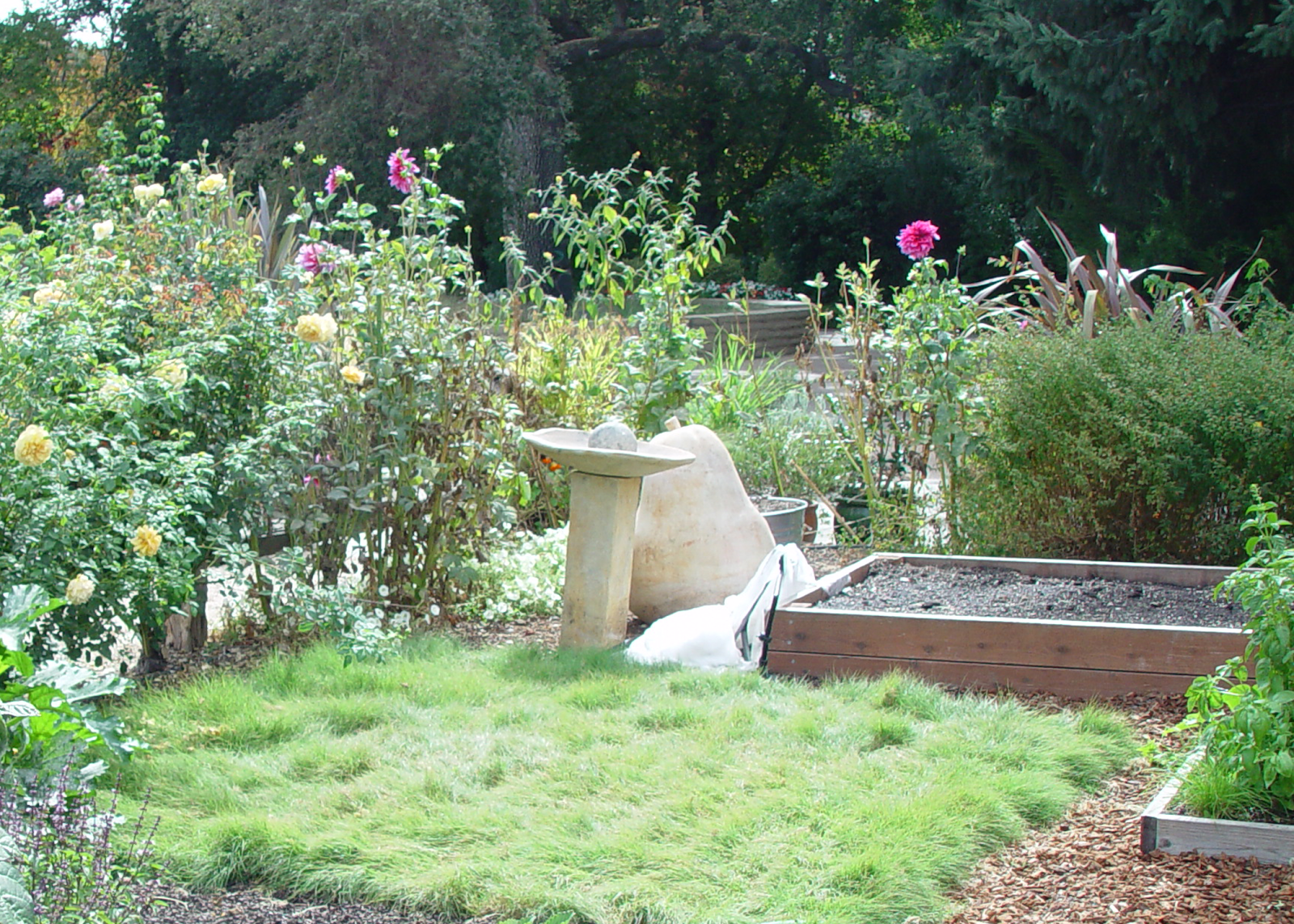 Eden By The Bay Sunset Magazine Test Gardens