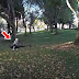An Engineer turned a quadcopter into a fully operational, flying Star Wars Speeder Bike, amazing!