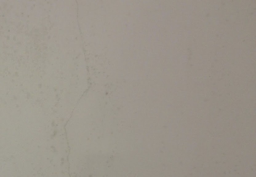 牆身發霉原來有可能引起呼吸道疾病 牆身發霉原來有可能引起呼吸道疾病