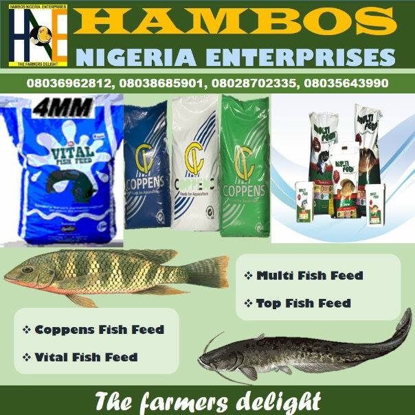 Your favorite fish feeds are now available