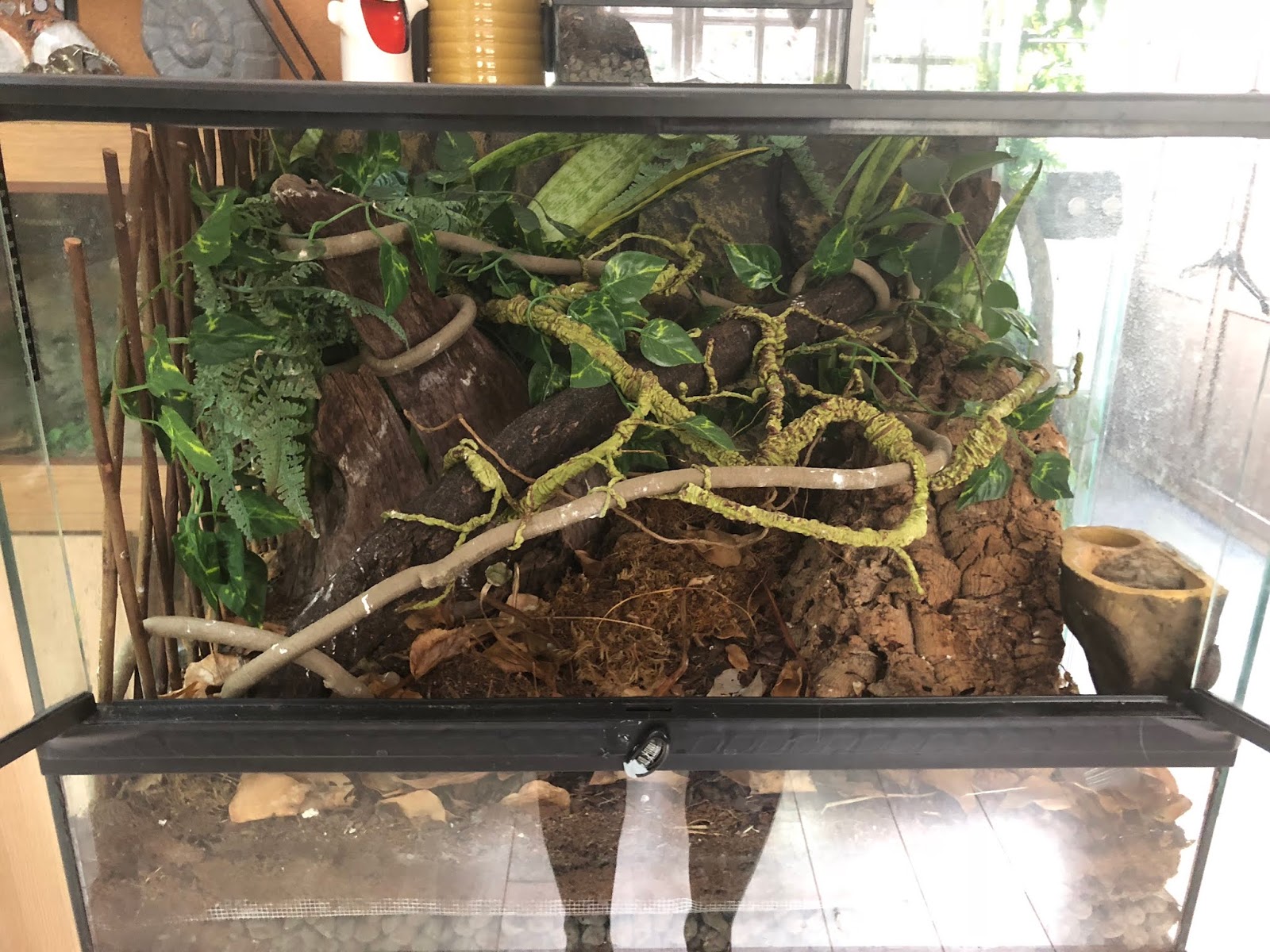 1 Keby Reptile Plants Terrarium Decor Cactus Plastic Aquarium