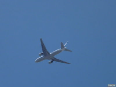 飛行機 飛行機