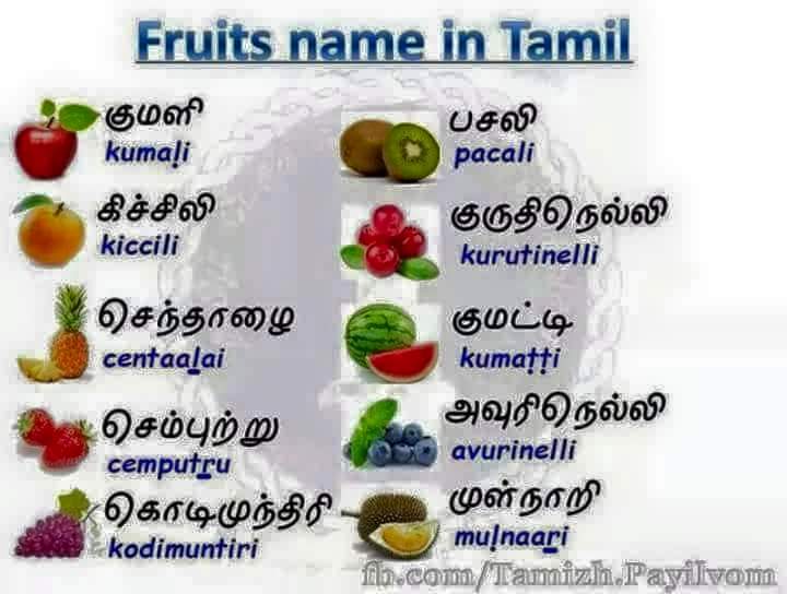 All Fruits Name In English And Tamil With Images 0B9