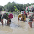 Brigif 4 Mar/BS Tanam Mangrove Di Pesisir Pantai Mahitam Pesawaran Lampung