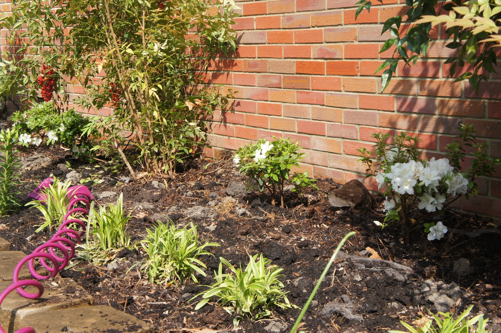 Virginia Beach Housewife Landscaping for Dummies