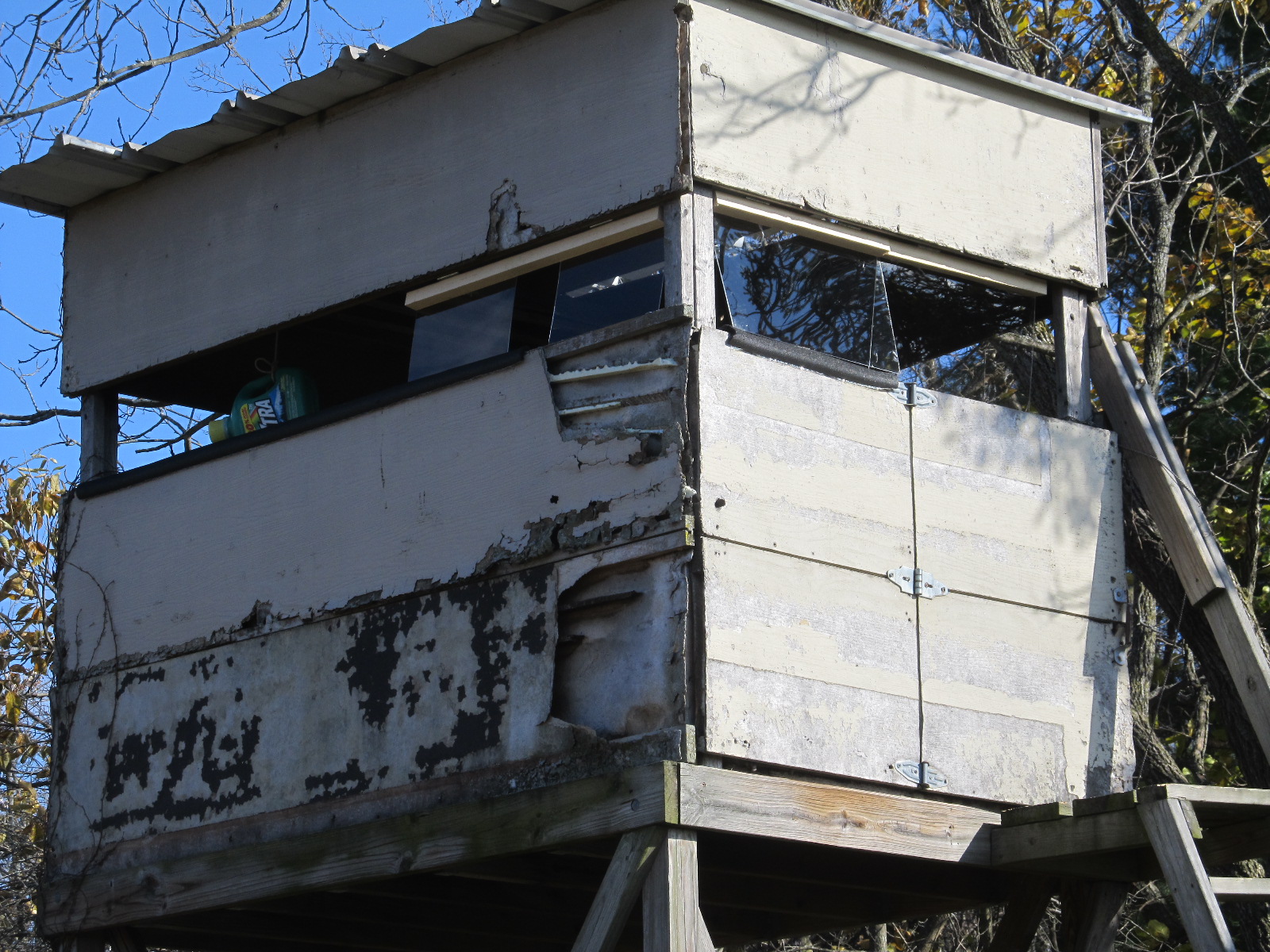 Eaton Rapids Joe Windows in the deer blind
