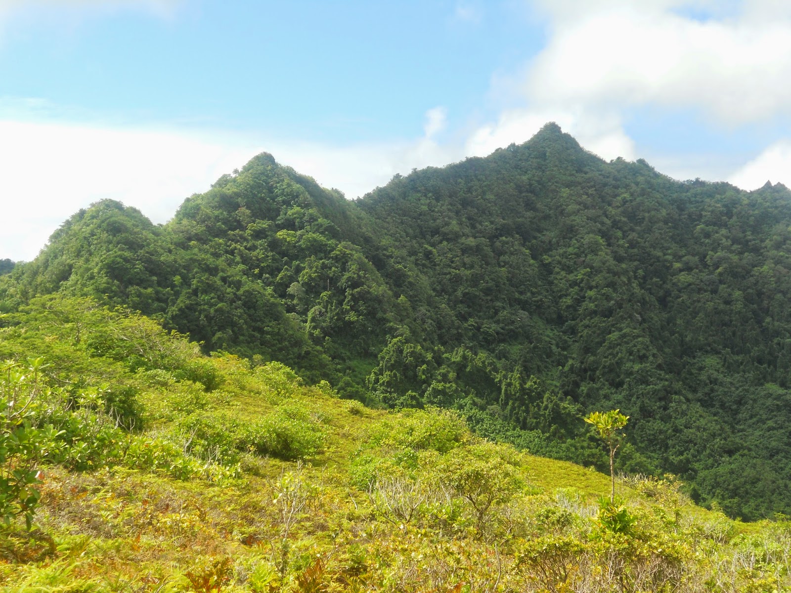 Another Day in New Zealand: Rarotonga Hike - Raemaru Heights Lookout