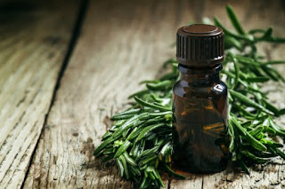Aceite de Arbol de Te Para Sudoracion Excesiva Aceite de Arbol de Te Para Sudoracion Excesiva
