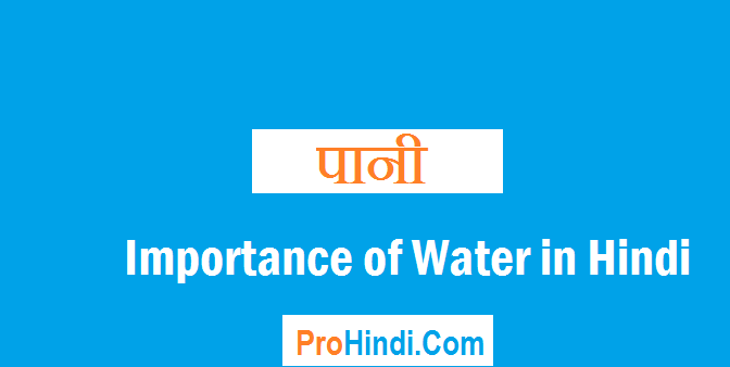 Essay on importance